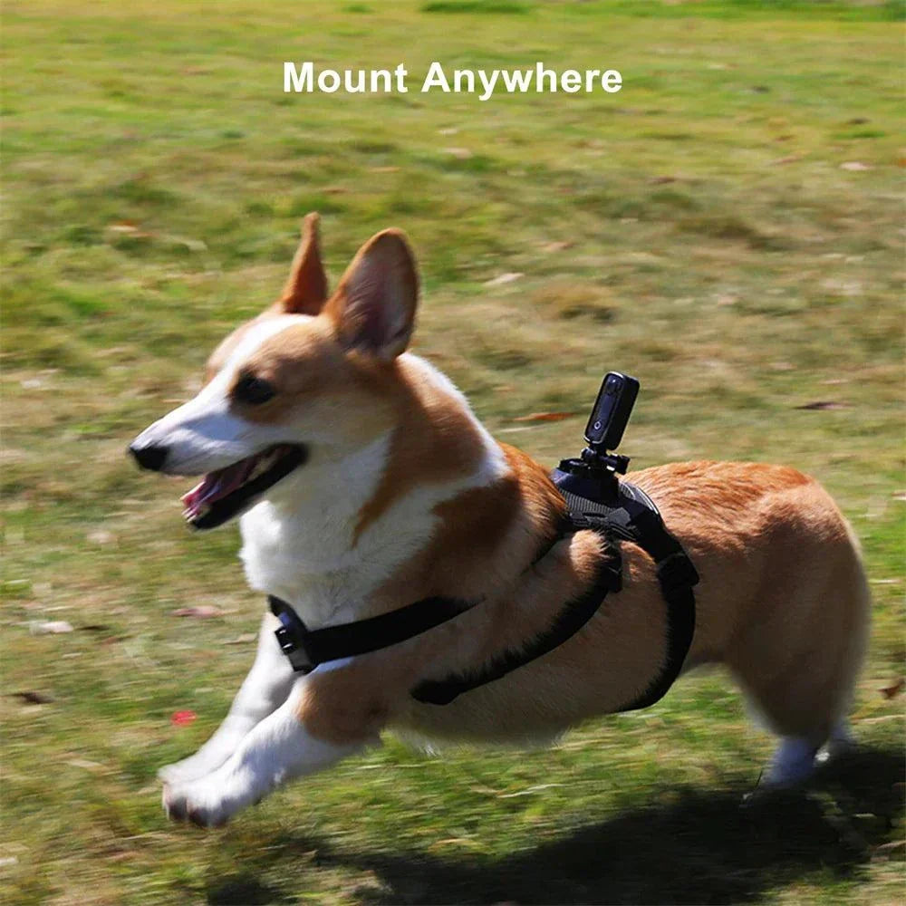 Dog running outdoors with SJCAM C100 Plus Action Camera mounted on harness showing versatile mounting options